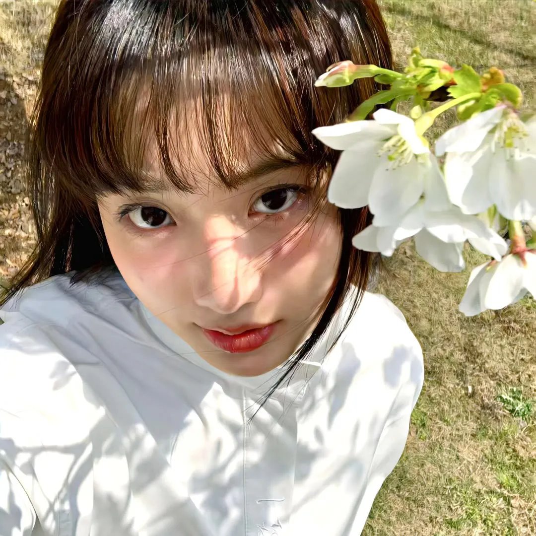 山有木兮木有心